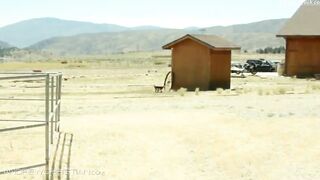 Jockstrap cowboys Sean Paul Lockhart