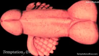 Members Only Promo, Fall 2012