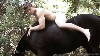 Beautiful and Enchanting