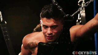 Fuck Yeah Levi Karter
