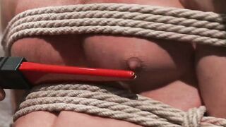 Muscled mechanic, bound, fucked...