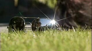 Justin, Damon and Rico