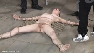 Ashton Bradley, Kieron Knight, MacKenzie Walker