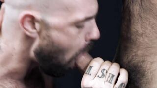 Teddy Torres & Rogue Status (2017)