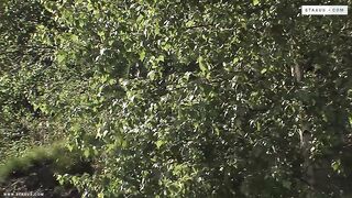 Thomas Dyk, Thomas Wolf, Scott Williams