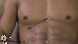 Black & White and White