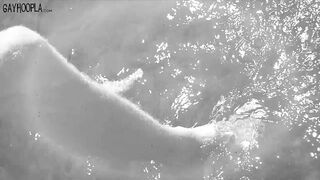 Austin Anderson Classic