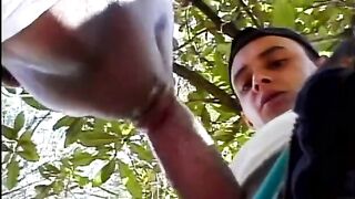 Friends in Fun - Scene 3