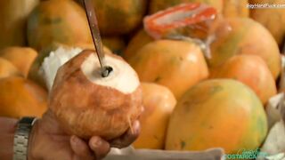 Pura Vida 16 - BTS - Quepos