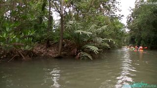 Pura Vida 12 - BTS - Mangrove