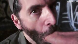 Treasure Island Media - Bad Seed