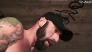 Treasure Island Media - Bad Seed