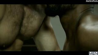 Discover (Dato Foland, XL)