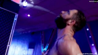 Raging Stallion - Cock Hunter