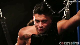 Fuck Yeah Levi Karter!