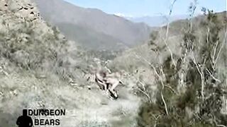 Steve's Dream Vacation