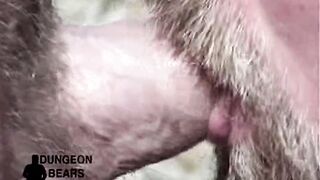 Steve's Dream Vacation